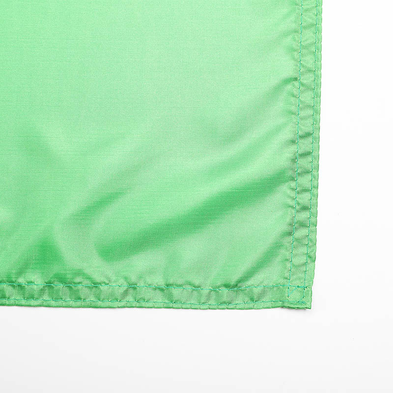 Brazilian flag-3.jpg